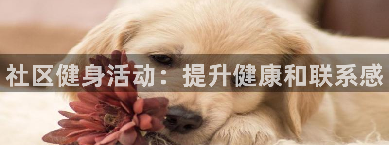 意昂2代理